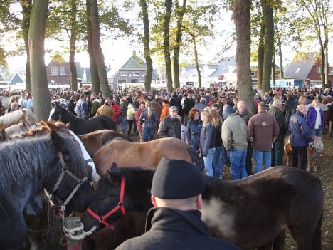 zuidlaardermarkt Horse fair art 29