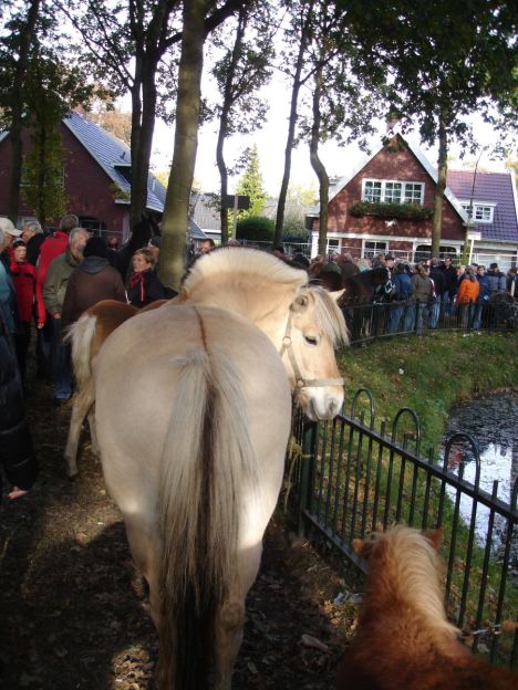 zuidlaardermarkt Horse fair art 45