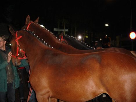 zuidlaardermarkt Horse fair art